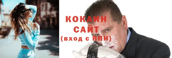 гидра Медвежьегорск
