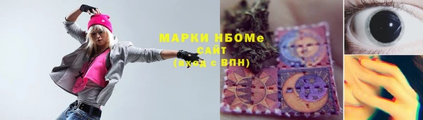 гидра Медвежьегорск