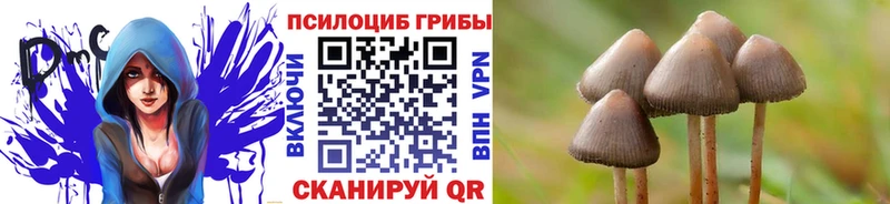 наркотики  дарк нет телеграм  Псилоцибиновые грибы Cubensis  Екатеринбург 